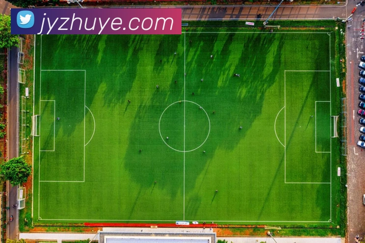 开云app服务体系